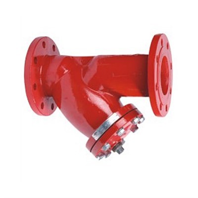 Y Strainer